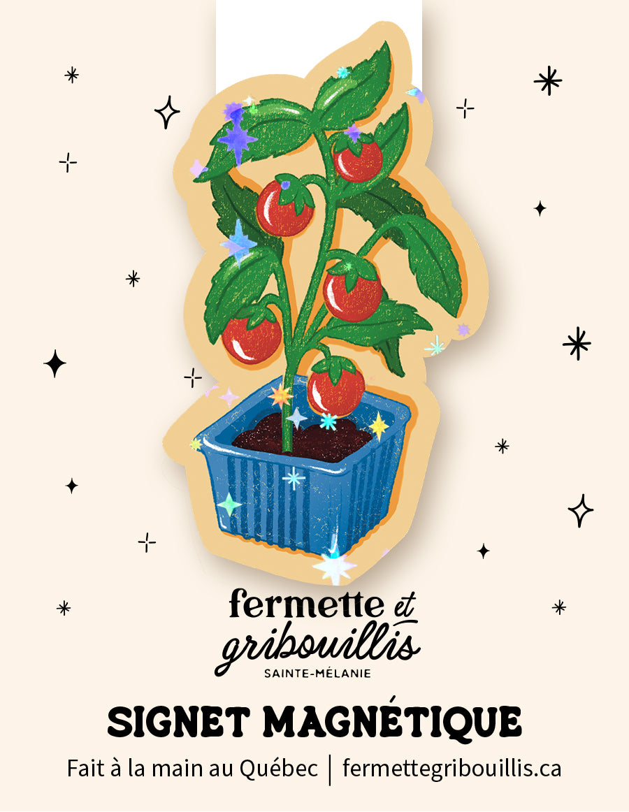 Signet magnétique - Tomates