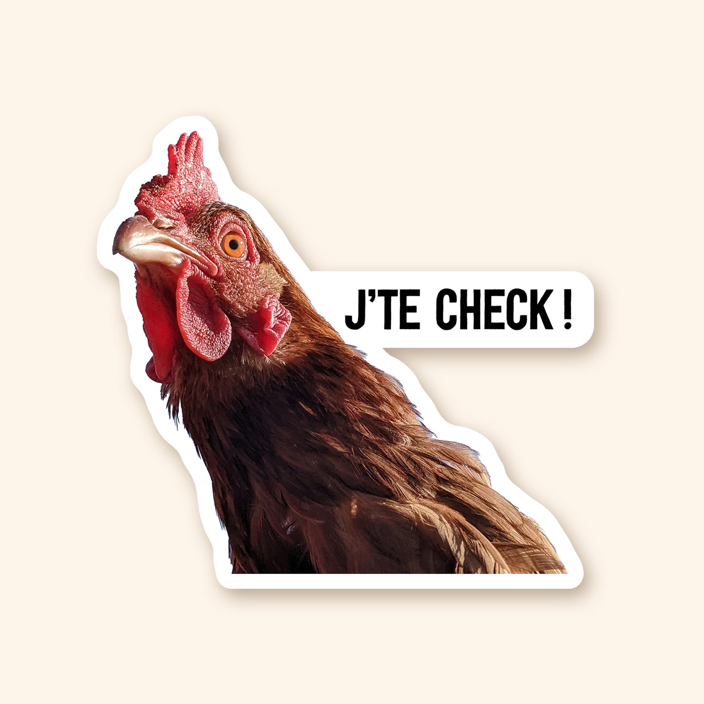 Autocollant en vinyle - Poule J'te tcheck!