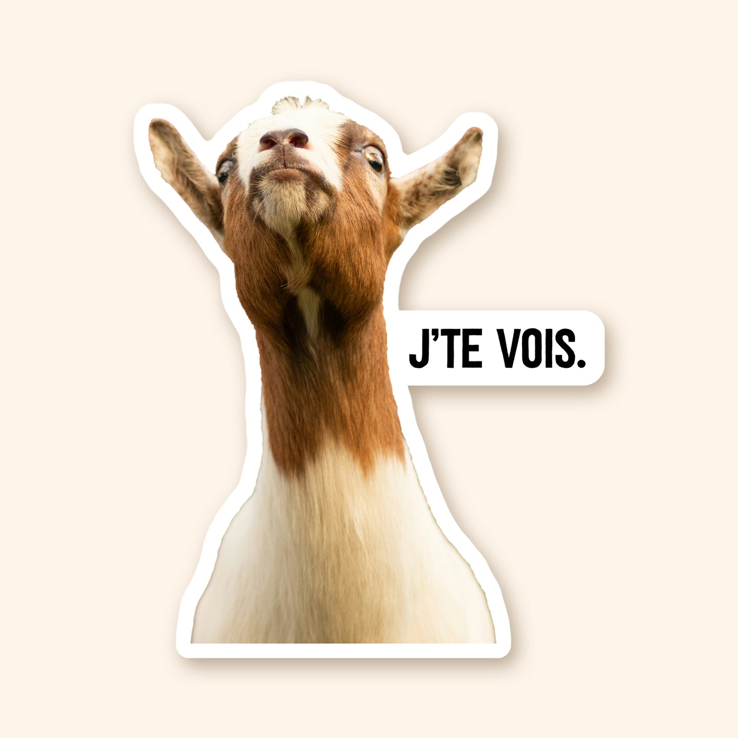 Autocollant en vinyle - Chèvre J'te vois!